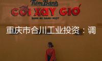 重慶市合川工業(yè)投資：調(diào)整“21合川投資MTN003”發(fā)行金額為5億元