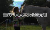 重慶市人大常委會原黨組副書記、副主任鄭洪被提起公訴