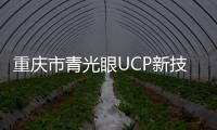 重慶市青光眼UCP新技術(shù)診療培訓(xùn)班在南坪愛爾眼科舉辦