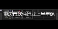 重慶市軟件行業上半年保持快速發展態勢