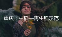 重慶：中稻—再生稻示范片兩季畝產(chǎn)上千公斤 新技術(shù)4年推廣144萬(wàn)畝
