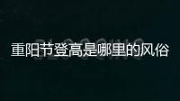 重陽節登高是哪里的風俗（重陽節登高習俗）