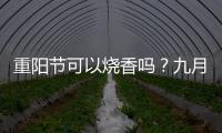 重陽節(jié)可以燒香嗎？九月九給佛家上供嗎？