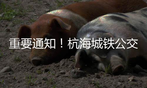 重要通知！杭海城鐵公交接駁線試運營！快來看看有途經你家的嗎?