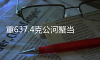 重637.4克公河蟹當選蟹王
