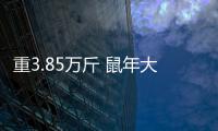 重3.85萬斤 鼠年大“米龜”亮相泉州霞洲媽祖宮