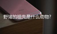 野豬的祖先是什么動物?一口能咬碎骨頭(力量堪比鱷魚)