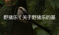 野豬樂（關于野豬樂的基本情況說明介紹）