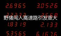 野豬闖入高速路引發重大事故 致1死10人傷