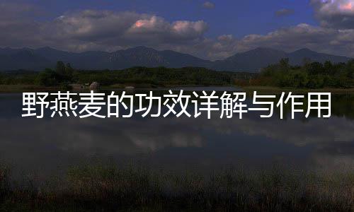 野燕麥的功效詳解與作用科普