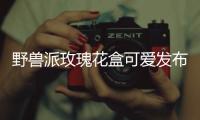 野獸派玫瑰花盒可愛發(fā)布