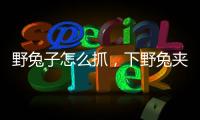 野兔子怎么抓，下野兔夾子怎么看地形