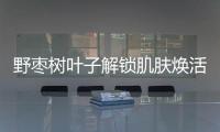 野棗樹葉子解鎖肌膚煥活秘籍，重拾青春光彩！