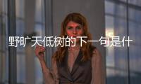 野曠天低樹的下一句是什么呀（野曠天低樹下一句是什么）