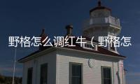 野格怎么調(diào)紅牛（野格怎么調(diào)）