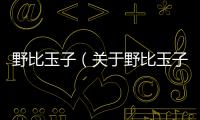 野比玉子（關于野比玉子的基本情況說明介紹）
