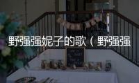 野強強妮子的歌（野強強的全部歌曲）