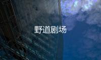 野道劇場