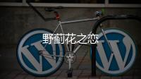 野薊花之戀
