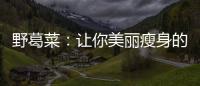 野葛菜：讓你美麗瘦身的秘密！