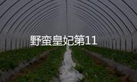 野蠻皇妃第11