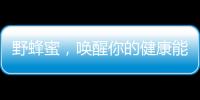 野蜂蜜，喚醒你的健康能量！