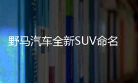 野馬汽車全新SUV命名為博駿 將于2月底下線