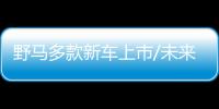 野馬多款新車上市/未來戰略規劃公布