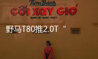 野馬T80推2.0T“入門版” 配置豐富動力足