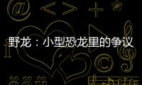 野龍：小型恐龍里的爭(zhēng)議者（獸腳科目的下屬）