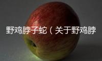 野雞脖子蛇（關于野雞脖子蛇的基本情況說明介紹）