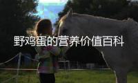 野雞蛋的營養價值百科