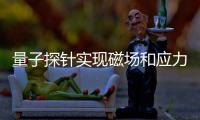 量子探針實現磁場和應力張量的原位測量