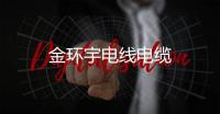 金環(huán)宇電線電纜