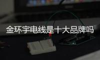 金環(huán)宇電線是十大品牌嗎（金環(huán)宇電線）