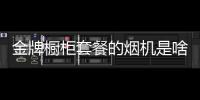 金牌櫥柜套餐的煙機是啥牌的（金牌櫥柜套餐）