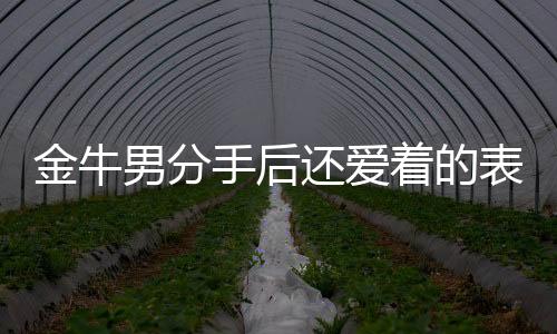金牛男分手后還愛(ài)著的表現(xiàn)
