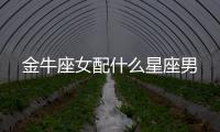 金牛座女配什么星座男