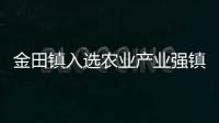 金田鎮(zhèn)入選農(nóng)業(yè)產(chǎn)業(yè)強鎮(zhèn)創(chuàng)建名單