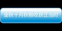 金秋十月秋糧收獲正當時 全國秋糧已收11.35億畝完成86.9%
