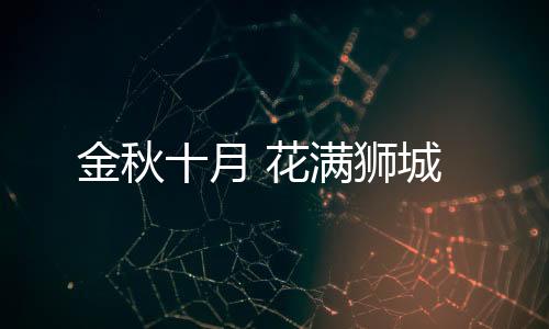 金秋十月 花滿獅城