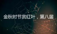 金秋時(shí)節(jié)賞紅葉，第八屆大別山（大悟）紅葉文化旅游節(jié)隆重開幕