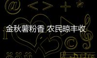 金秋薯粉香 農民晾豐收