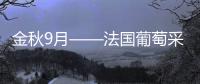 金秋9月——法國(guó)葡萄采收季節(jié)