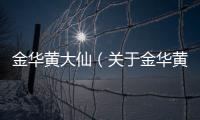 金華黃大仙（關于金華黃大仙的基本情況說明介紹）
