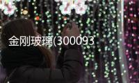 金剛玻璃(300093)資金流向揭秘