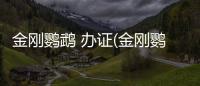 金剛鸚鵡 辦證(金剛鸚鵡什么資質)