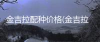 金吉拉配種價格(金吉拉配種配色表)