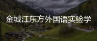 金城江東方外國語實驗學校和金城江河池東方的詳細介紹