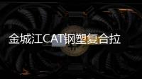 金城江CAT鋼塑復合拉筋帶性能